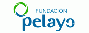 Logo Fundación Pelayo
